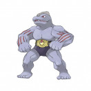 Pokémon Maschock