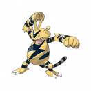 Pokémon Elektek