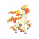 Pokémon Gallopa