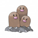 Pokémon Digdri