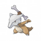 Pokémon Knogga Pokémon Knogga