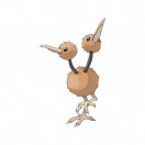 Pokémon Dodu Pokémon Dodu