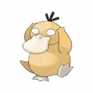 Pokémon Enton Pokémon Enton